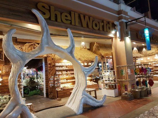 Muzeum muszli morskich